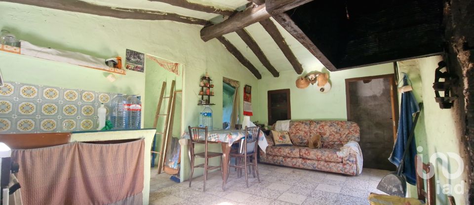 Terreno de 38.548 m² en Rasquera (43513)