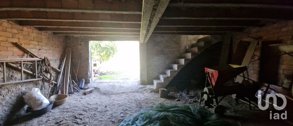 Terreno de 38.548 m² en Rasquera (43513)