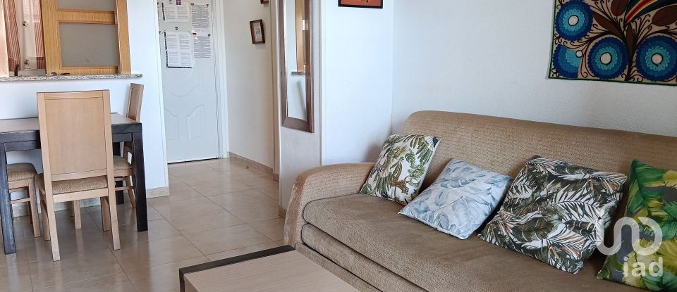 Piso 2 habitaciones de 61 m² en Oropesa/Oropesa del Mar (12594)