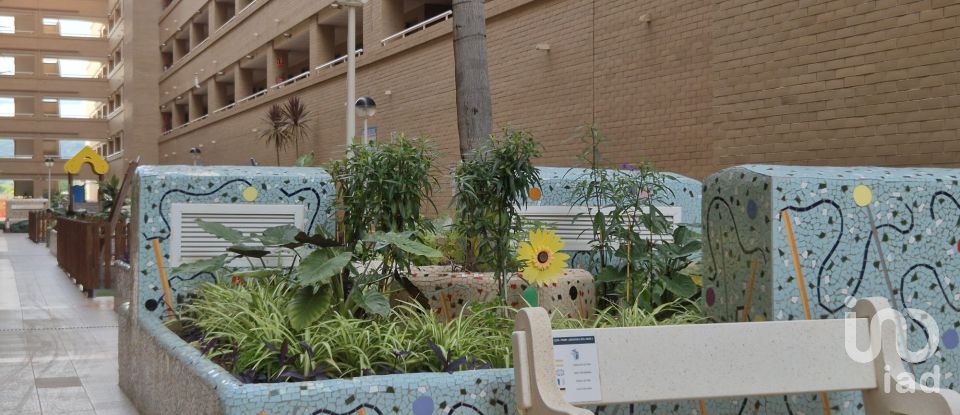 Piso 2 habitaciones de 61 m² en Oropesa/Oropesa del Mar (12594)