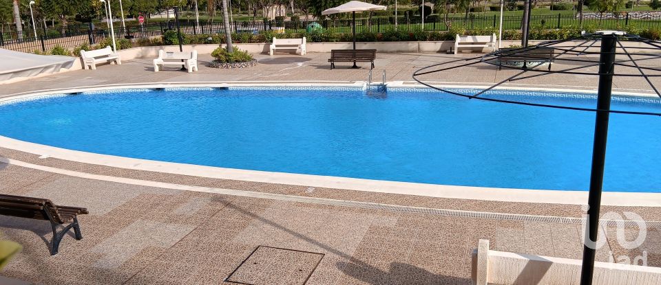 Piso 2 habitaciones de 61 m² en Oropesa/Oropesa del Mar (12594)