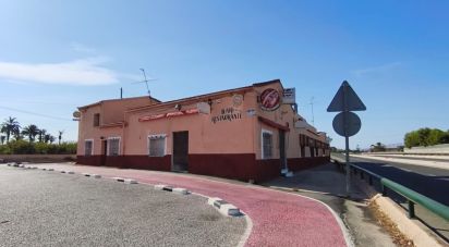 House 4 bedrooms of 405 m² in Elx/Elche (03294)