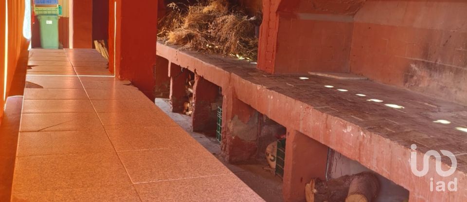 Casa 4 habitacions de 405 m² a Elx/Elche (03294)