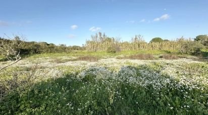 Land of 24,682 m² in Villablanca (21590)