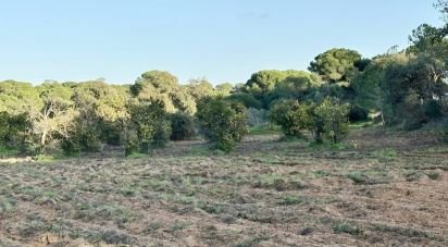 Land of 24,682 m² in Villablanca (21590)