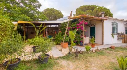 Casa rústica 3 habitacions de 97 m² a Bonares (21830)