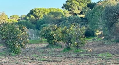 Land of 47,440 m² in Villablanca (21590)
