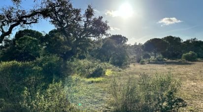 Land of 47,440 m² in Villablanca (21590)