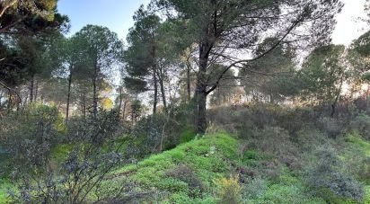 Land of 47,440 m² in Villablanca (21590)