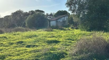 Land of 47,440 m² in Villablanca (21590)