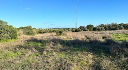 Land of 47,440 m² in Villablanca (21590)