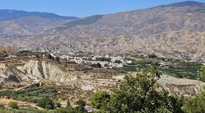 Terreny de 22.500 m² a Illar (04431)