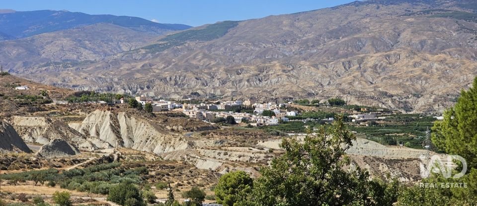 Terreno de 22.500 m² en Illar (04431)