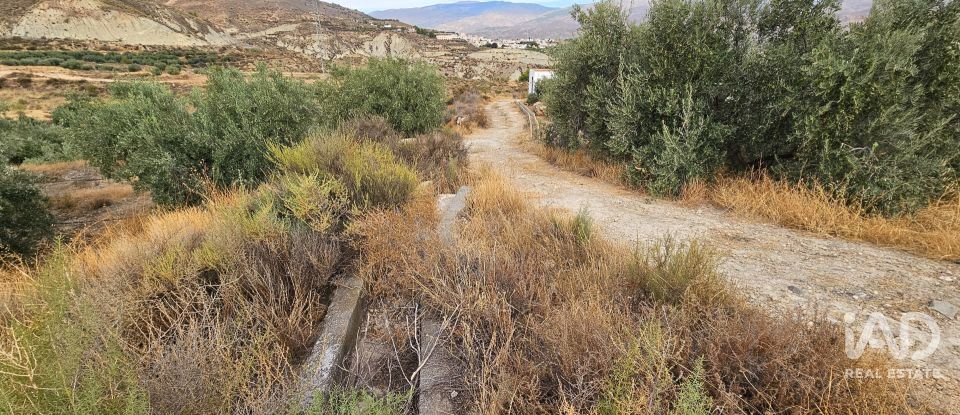 Terreno de 22.500 m² en Illar (04431)