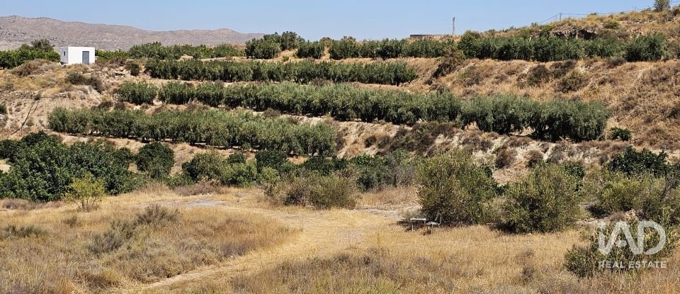 Terreno de 22.500 m² en Illar (04431)