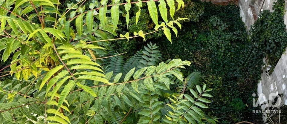 Immeuble de 576 m² à León (24009)