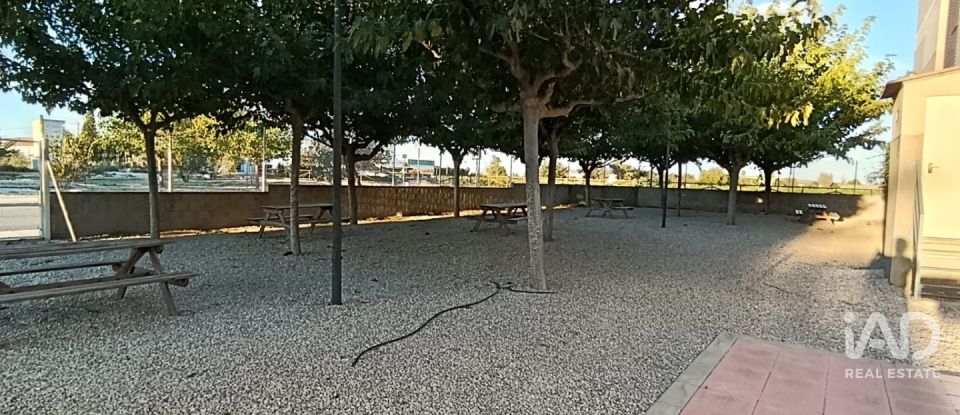 Pis 3 habitacions de 135 m² a Dolores (03150)