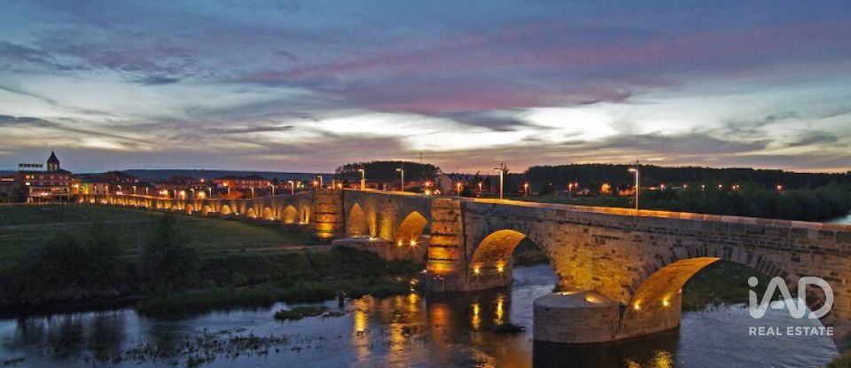 Apartment 2 bedrooms of 68 m² in Hospital de Órbigo (24286)