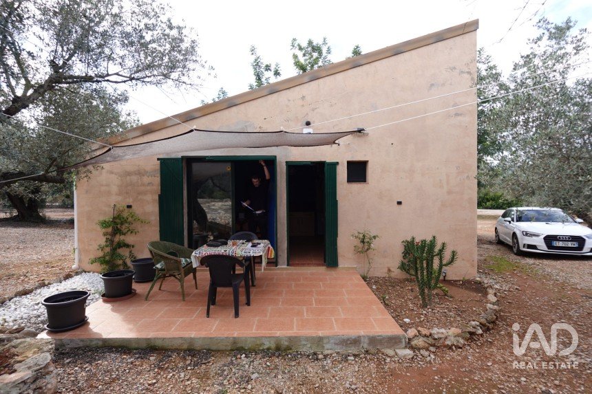 Terreno agricola de 6.246 m² en Santa Barbara (43570)