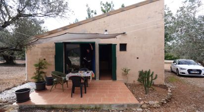 Farm land of 6,246 m² in Santa Barbara (43570)