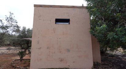 Farm land of 6,246 m² in Santa Barbara (43570)