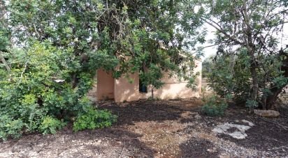 Farm land of 6,246 m² in Santa Barbara (43570)