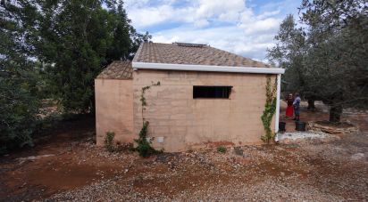 Farm land of 6,246 m² in Santa Barbara (43570)