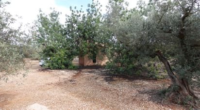 Farm land of 6,246 m² in Santa Barbara (43570)