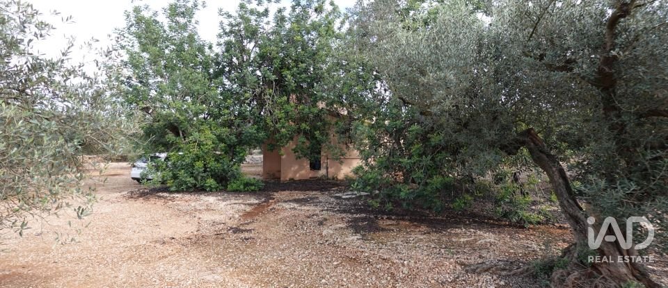 Terreno agricola de 6.246 m² en Santa Barbara (43570)