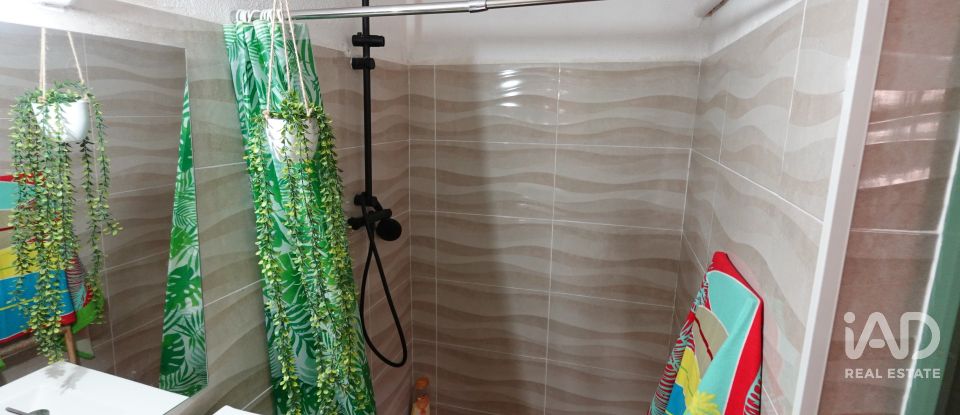 Terreno agricola de 6.246 m² en Santa Barbara (43570)