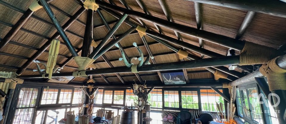 Terreny agrícola de 7.400.000 m² a Lezuza (02160)