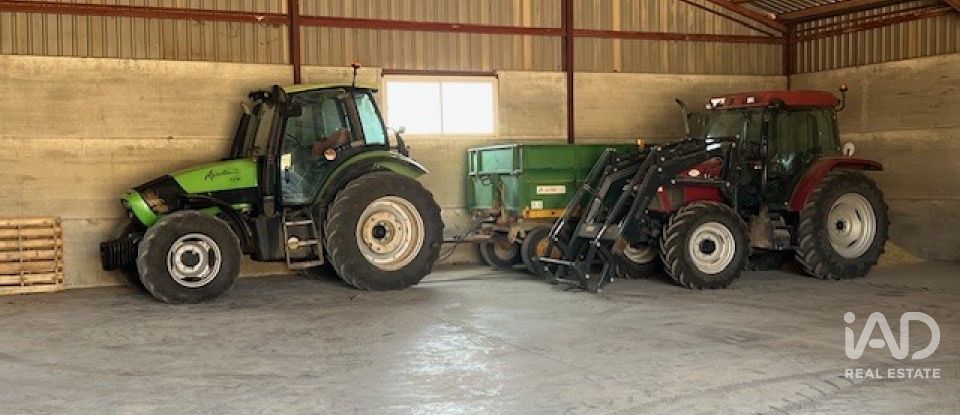 Terreny agrícola de 7.400.000 m² a Lezuza (02160)