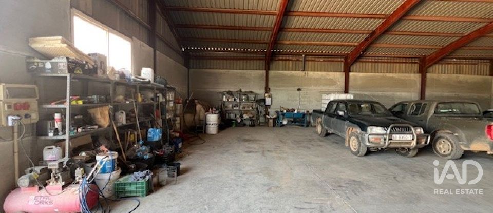 Terreny agrícola de 7.400.000 m² a Lezuza (02160)