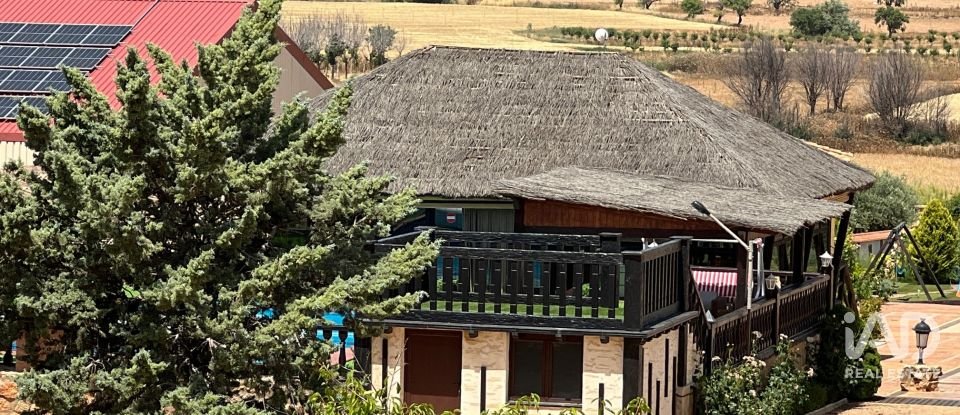 Terreny agrícola de 7.400.000 m² a Lezuza (02160)