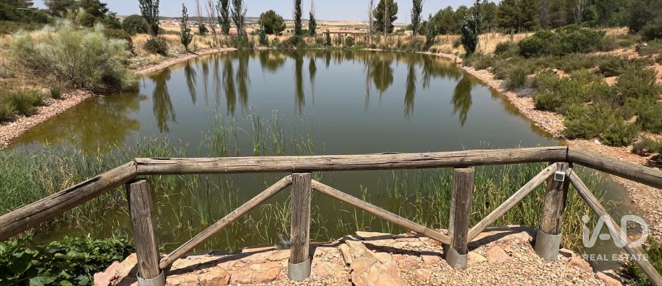 Terreny agrícola de 7.400.000 m² a Lezuza (02160)