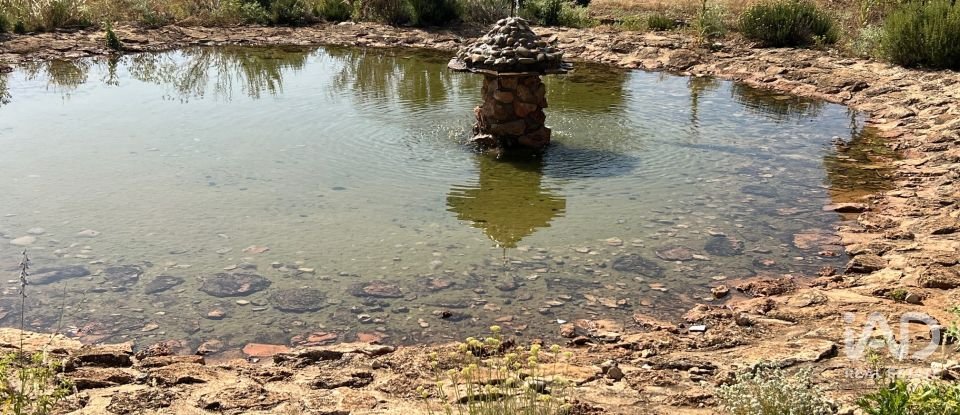 Terreny agrícola de 7.400.000 m² a Lezuza (02160)