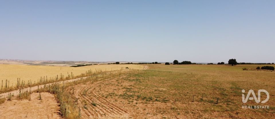 Terreny agrícola de 7.400.000 m² a Lezuza (02160)