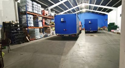 Immeuble de 443 m² à Sahagún (24320)