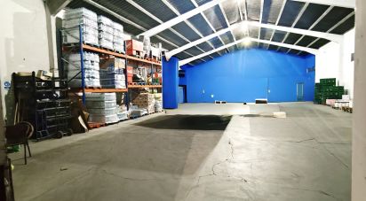 Edifici d'apartaments de 443 m² a Sahagún (24320)