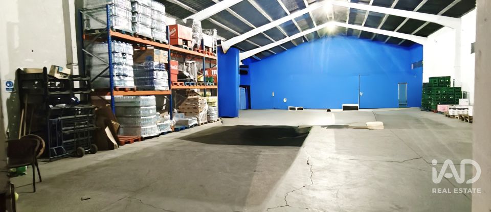 Immeuble de 443 m² à Sahagún (24320)