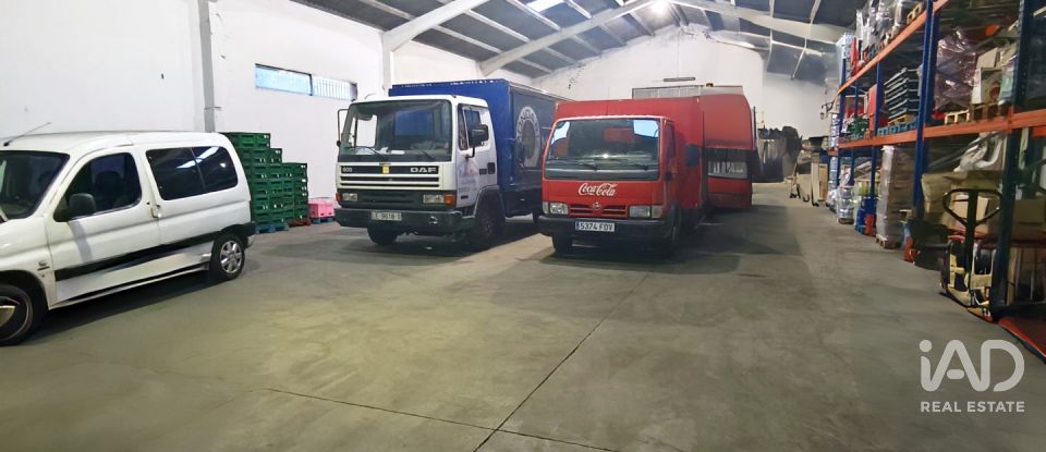 Immeuble de 443 m² à Sahagún (24320)