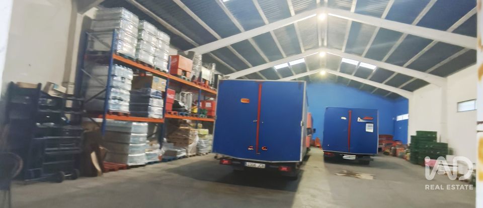 Immeuble de 443 m² à Sahagún (24320)