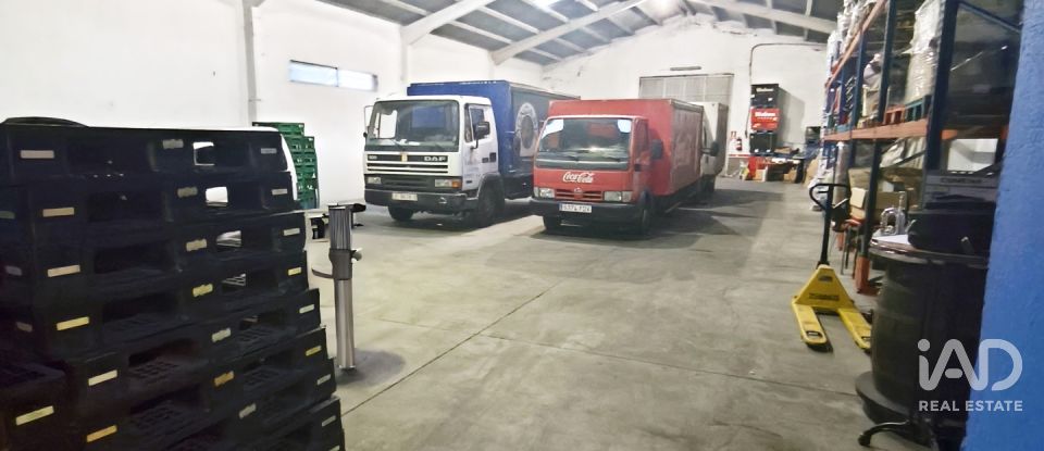 Immeuble de 443 m² à Sahagún (24320)