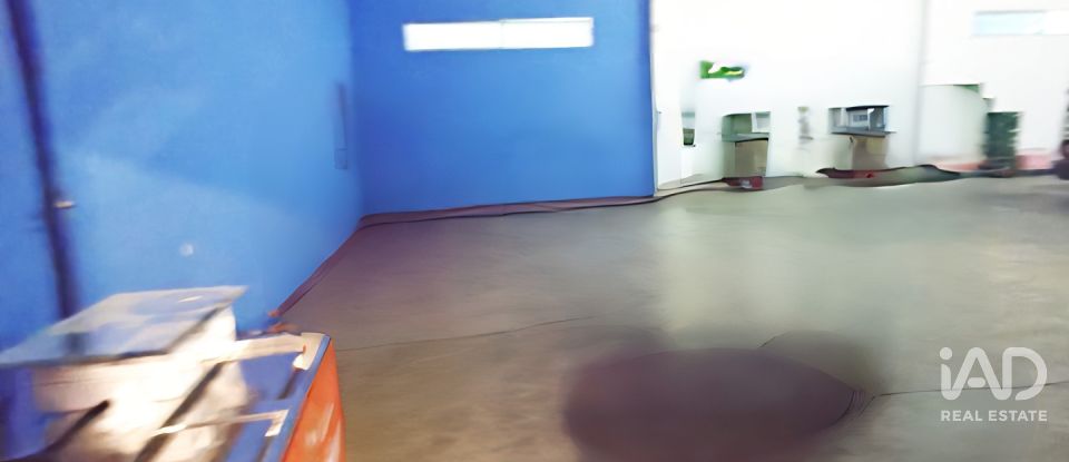 Immeuble de 443 m² à Sahagún (24320)