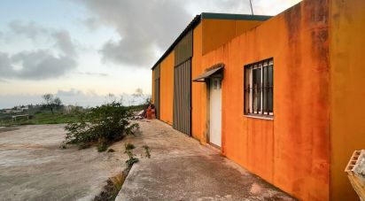 Shop / premises commercial of 150 m² in Benajarafe (29790)