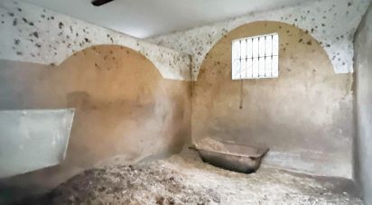 Shop / premises commercial of 150 m² in Benajarafe (29790)