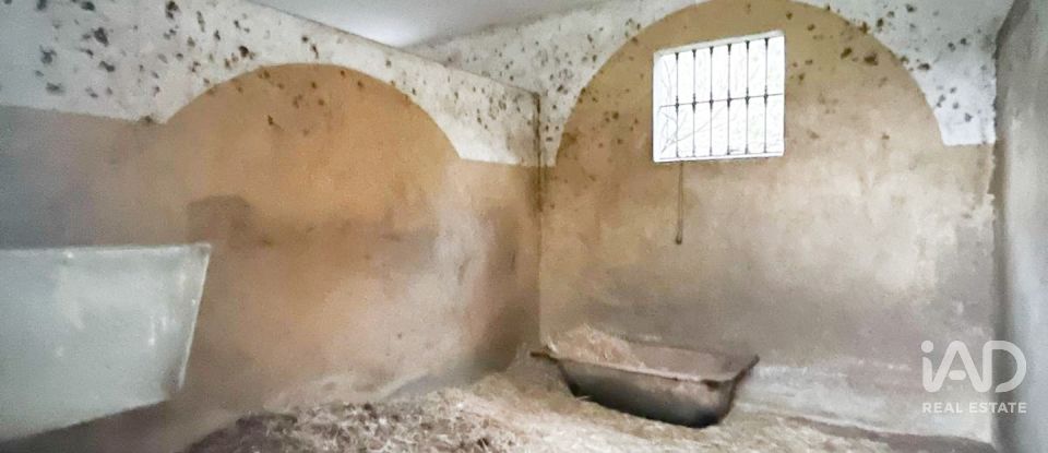 Tienda / local comercial de 150 m² en Benajarafe (29790)