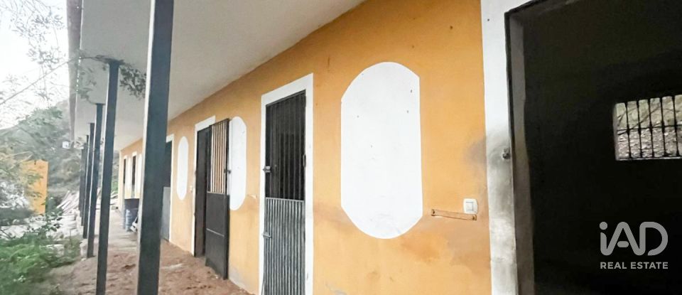 Tienda / local comercial de 150 m² en Benajarafe (29790)