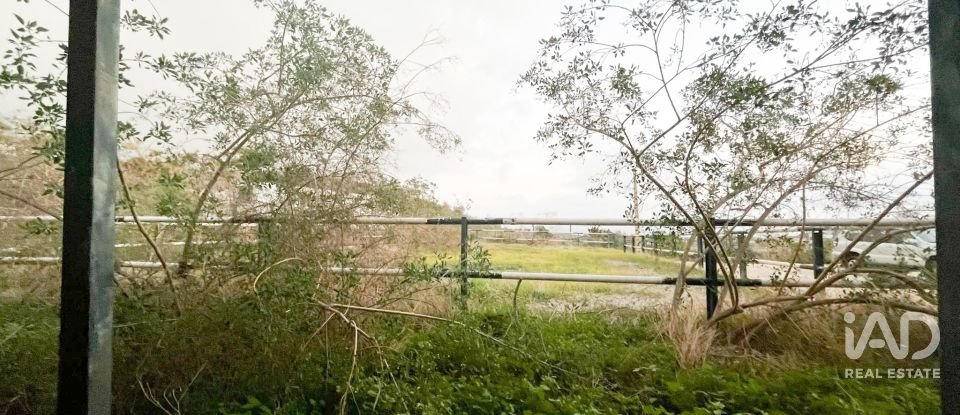 Tienda / local comercial de 150 m² en Benajarafe (29790)