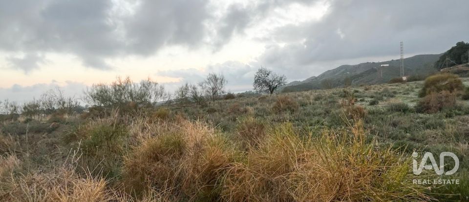 Tienda / local comercial de 150 m² en Benajarafe (29790)